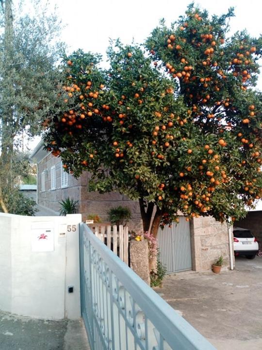 Vivenda Mendes Outeiro (Vila Nova de Famalicao) Exterior foto